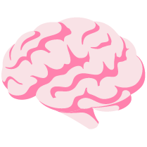 gut-brain connection support<sup>‡</sup>