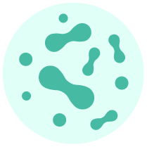 REPLENISH BENEFICIAL BACTERIA<sup>‡</sup>