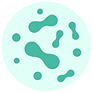 GUT HEALTH<sup>‡</sup>