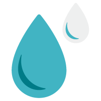 URINARY TRACT HEALTH<sup>‡</sup>