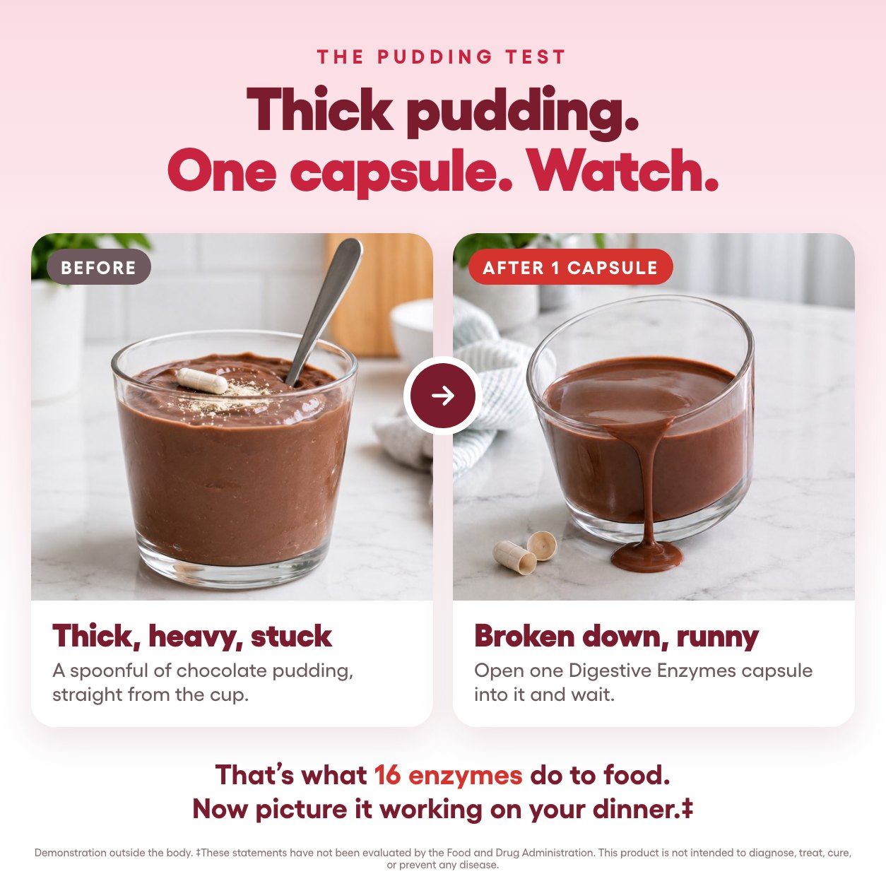 The pudding test: thick chocolate pudding turns runny after one Digestive Enzymes capsule is opened into it
