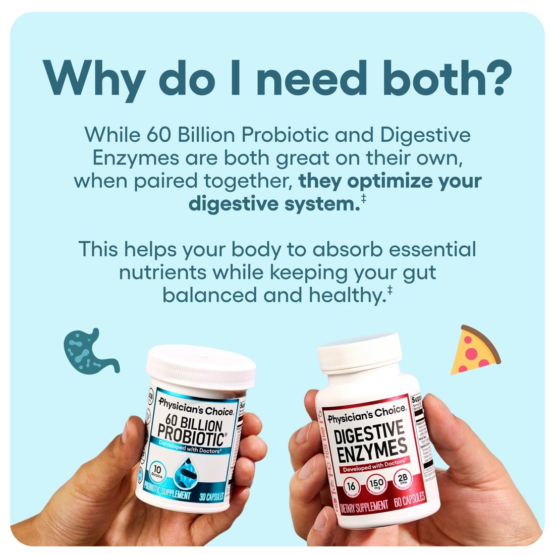 Why you need both the probiotic and the digestive enzymes