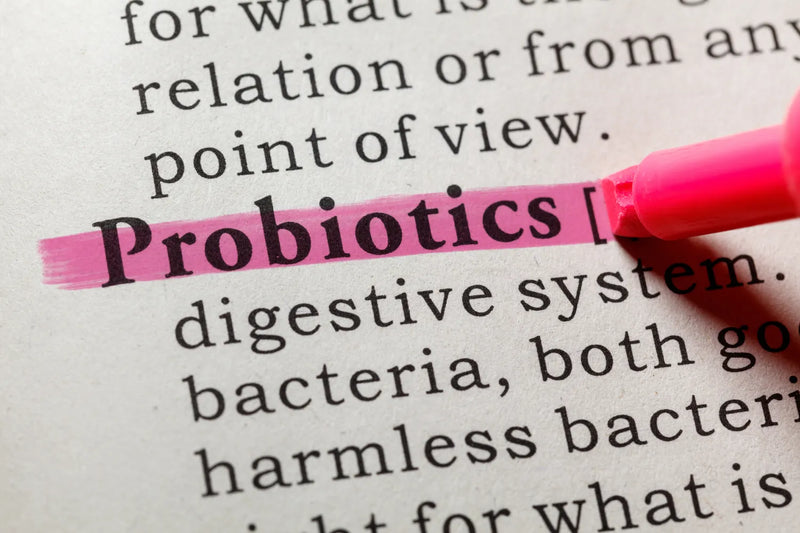 Probiotics for Women Over 50: What Changes and What To Look For