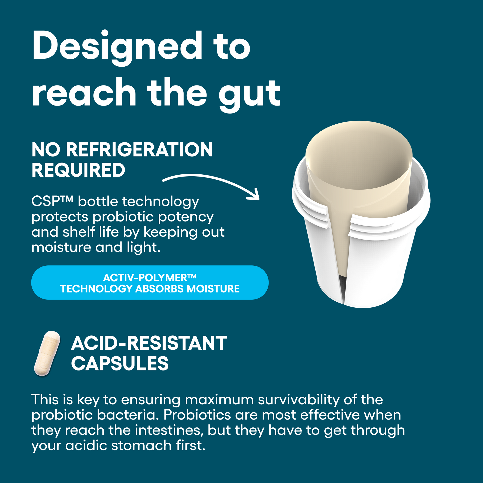 Shared Wellness Bundle (Value Size)