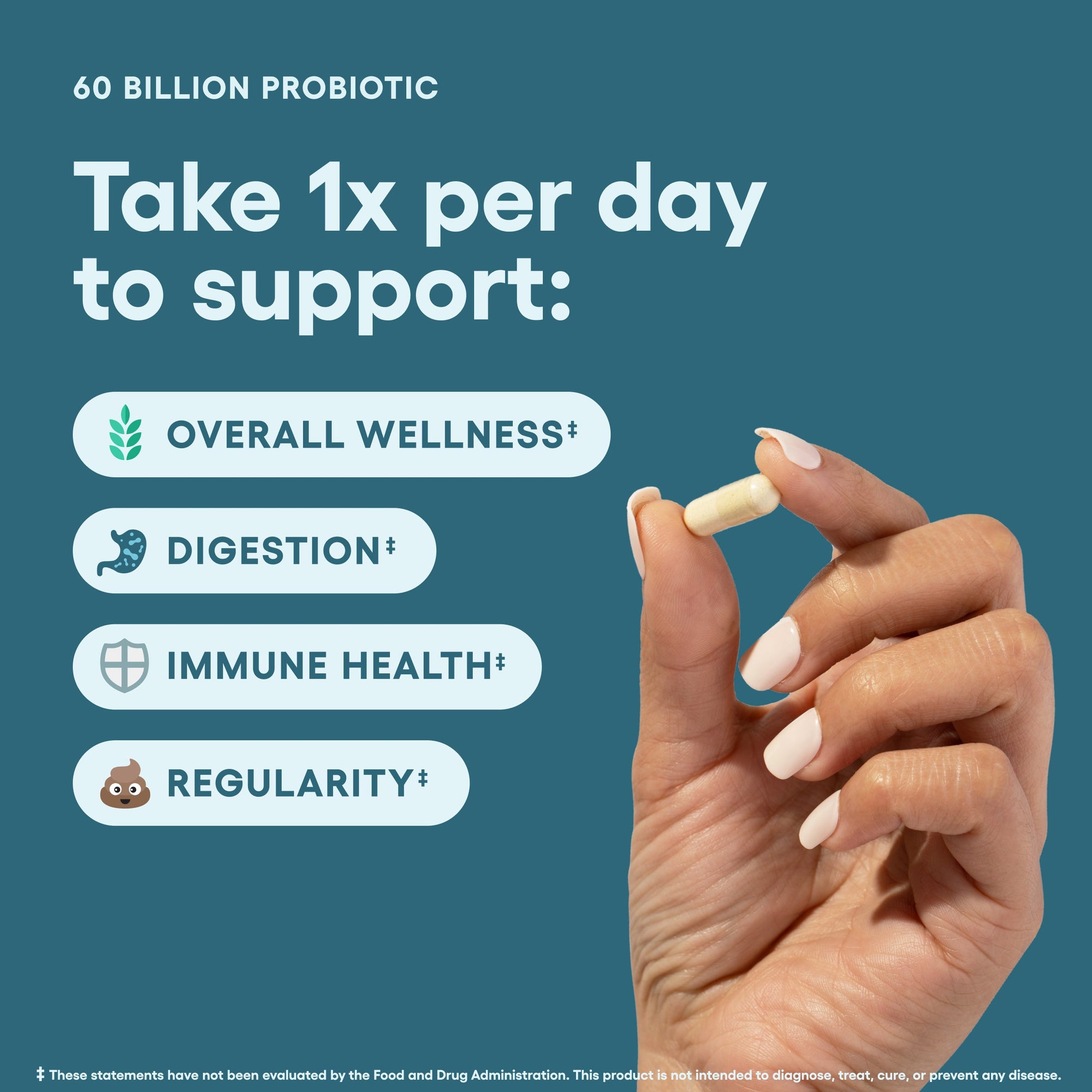 Bloat & Gas Probiotic 30ct + 60 Billion Probiotic 30ct