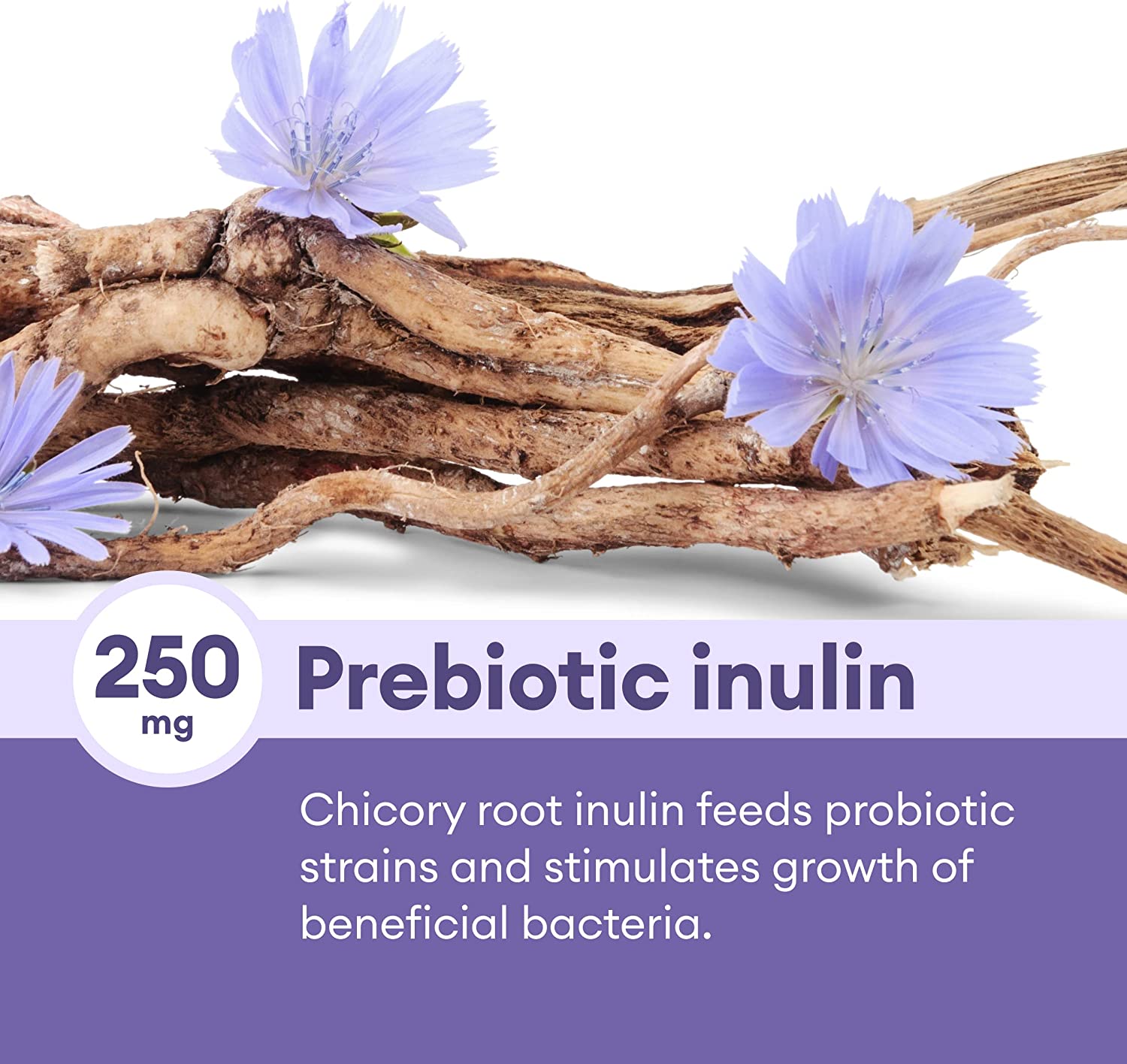 Prebiotic Probiotic