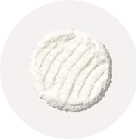 Bifidobacterium lactis