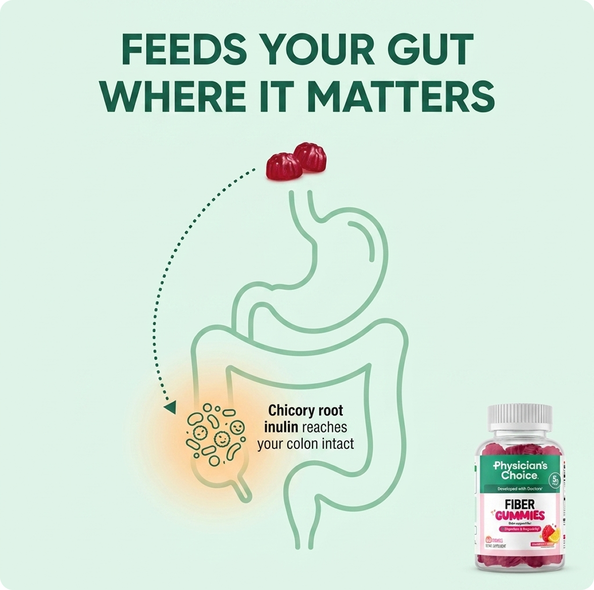Supports Gut Bacteria When Digestion Slows