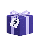 Mystery Gift Box