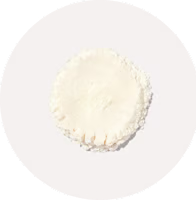 Lactobacillus crispatus