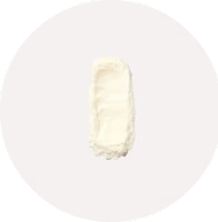 Lactobacillus reuteri