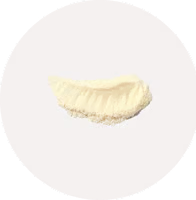 Lactobacillus rhamnosus