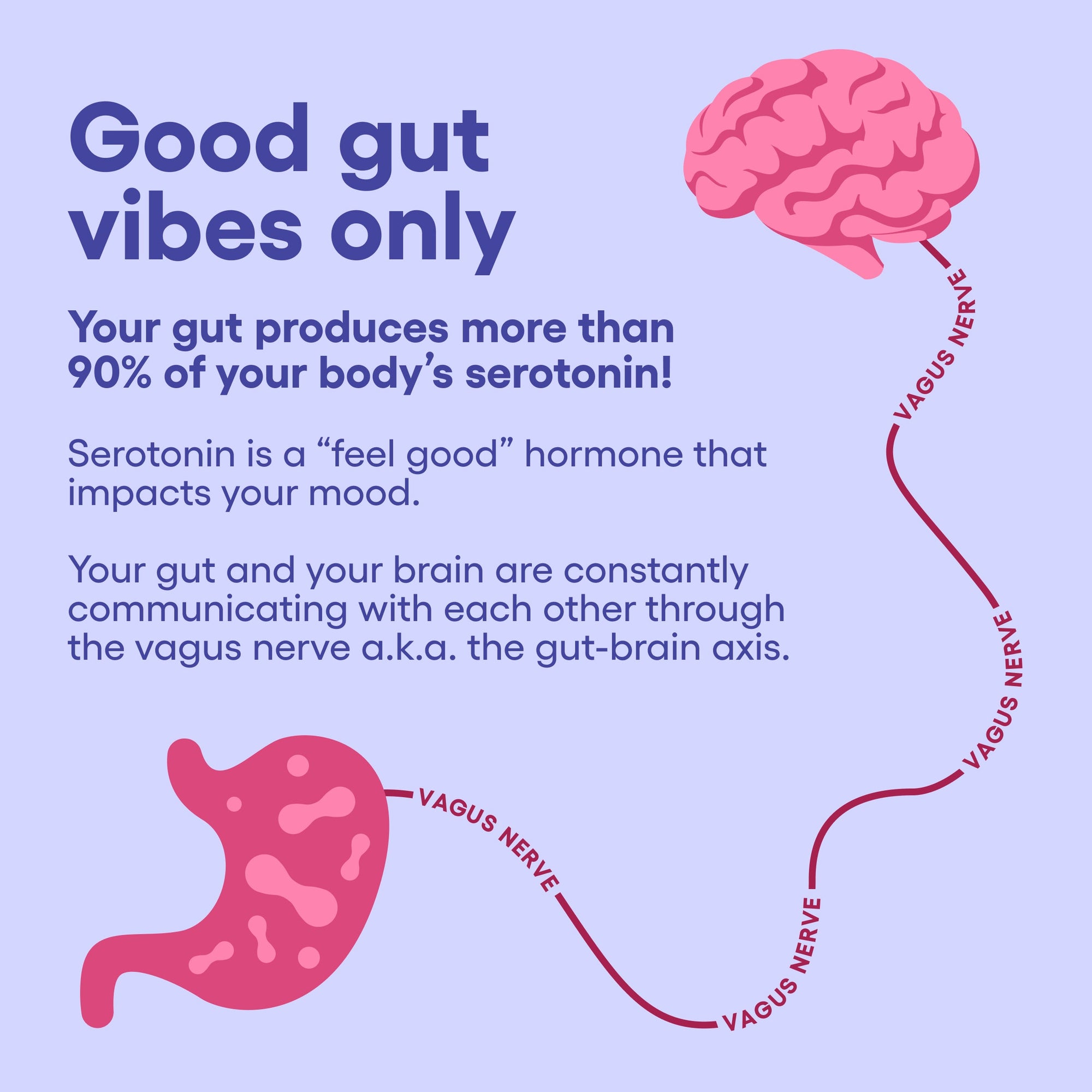 Mood Support Probiotic