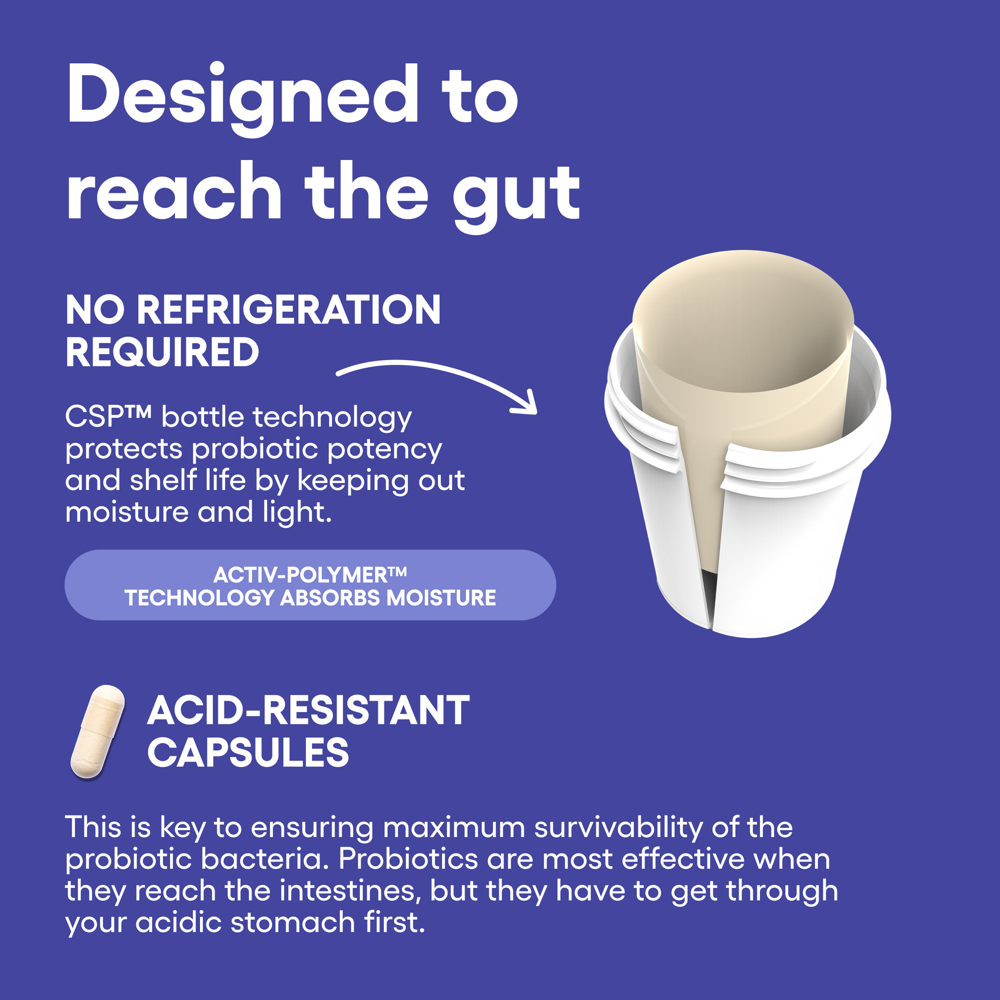 Mood Support Probiotic