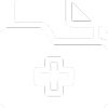 1: The Initial Spark (Days 1–7)