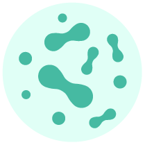 HEALTHY BACTERIA + YEAST<sup>‡</sup>