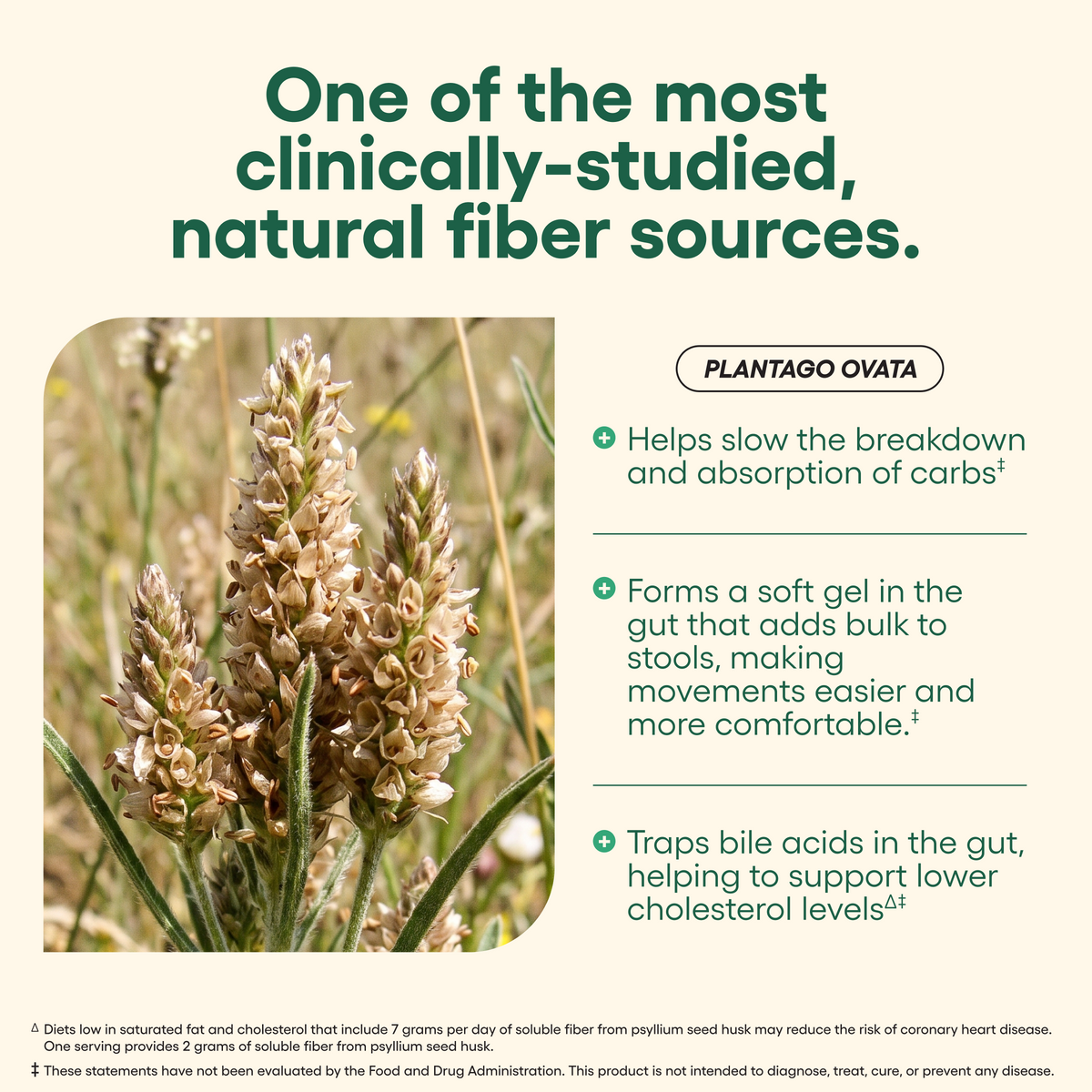Psyllium Husk Fiber