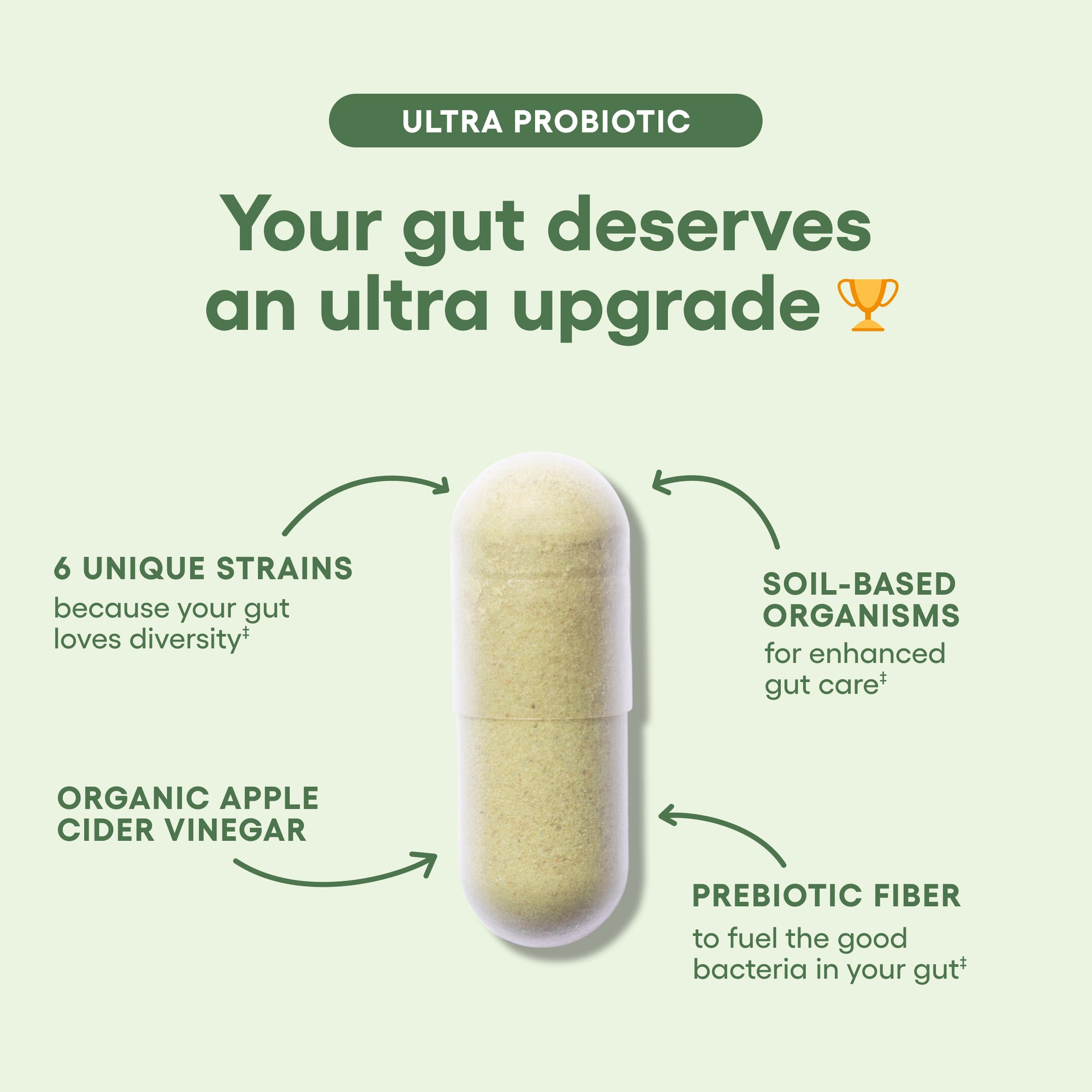 Ultra Probiotic