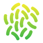 10 Strains icon
