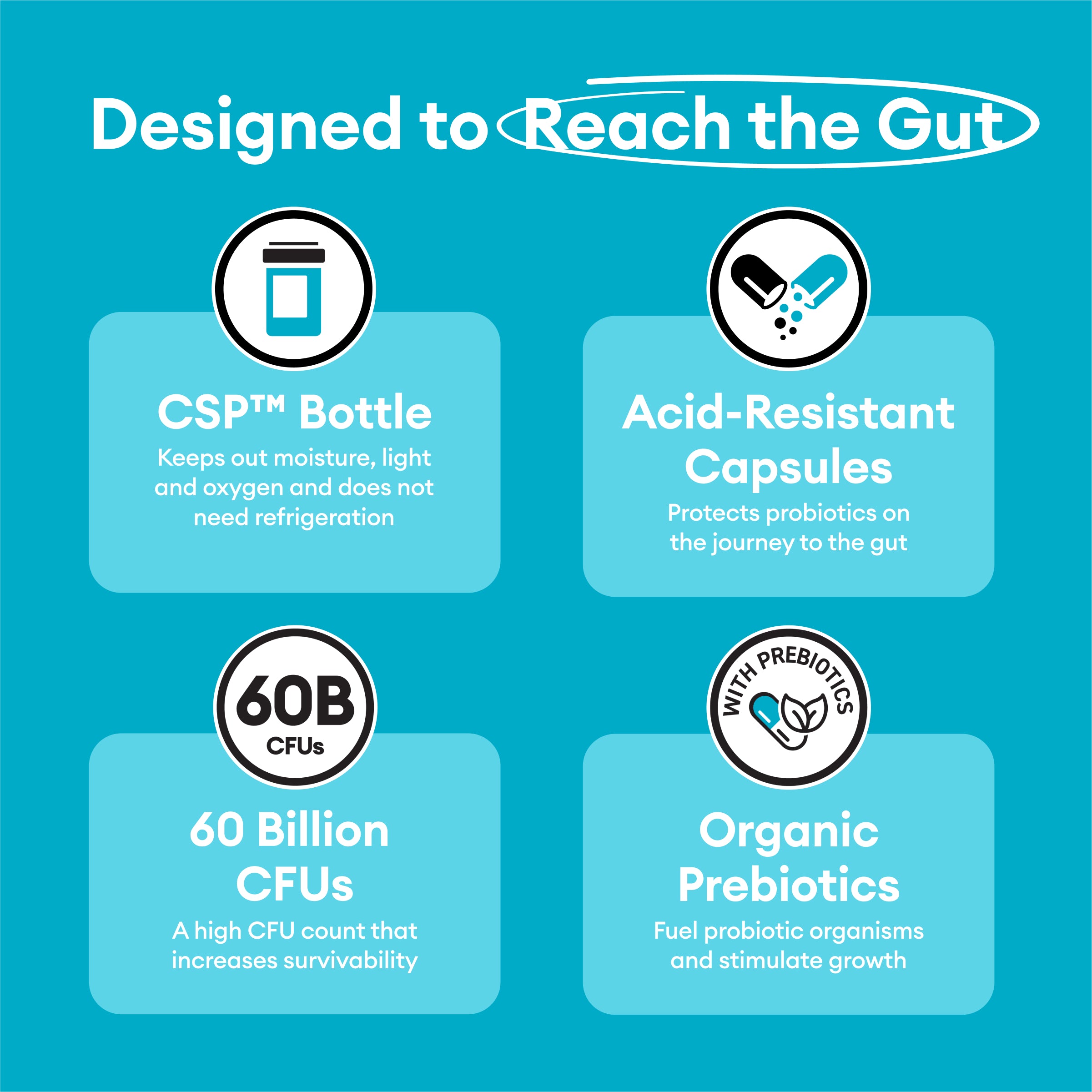 designed to reach the gut