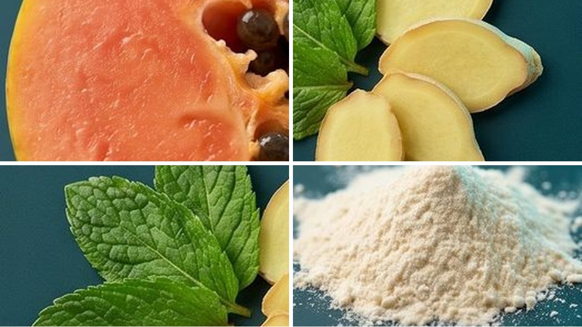 Papaya, ginger, peppermint and prebiotic fiber