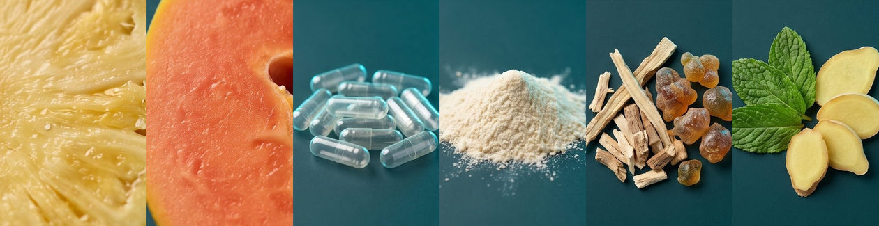 Pineapple, papaya, capsules, probiotic powder, acacia, peppermint and ginger root