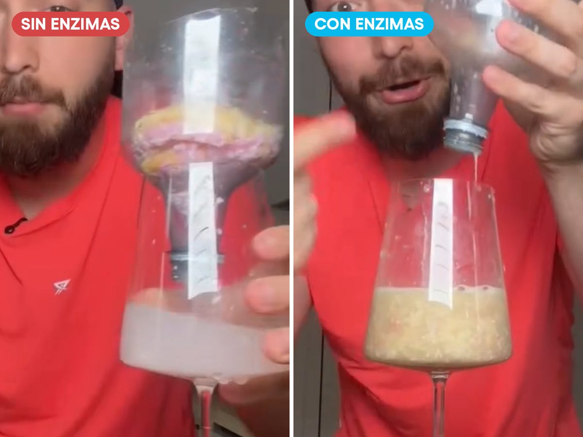 Las dos copas de la prueba: sin enzimas la dona sigue atascada, con enzimas pasó toda a la copa de abajo