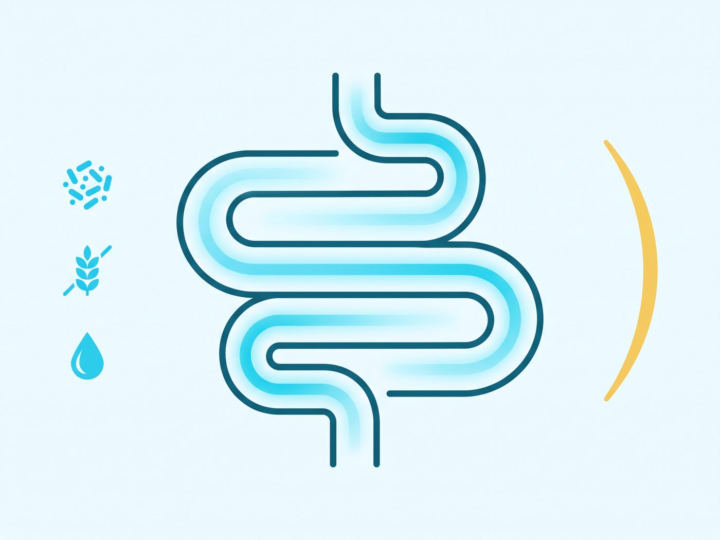 10 probiotic strains and 150mg of prebiotic fiber that support digestive regularity