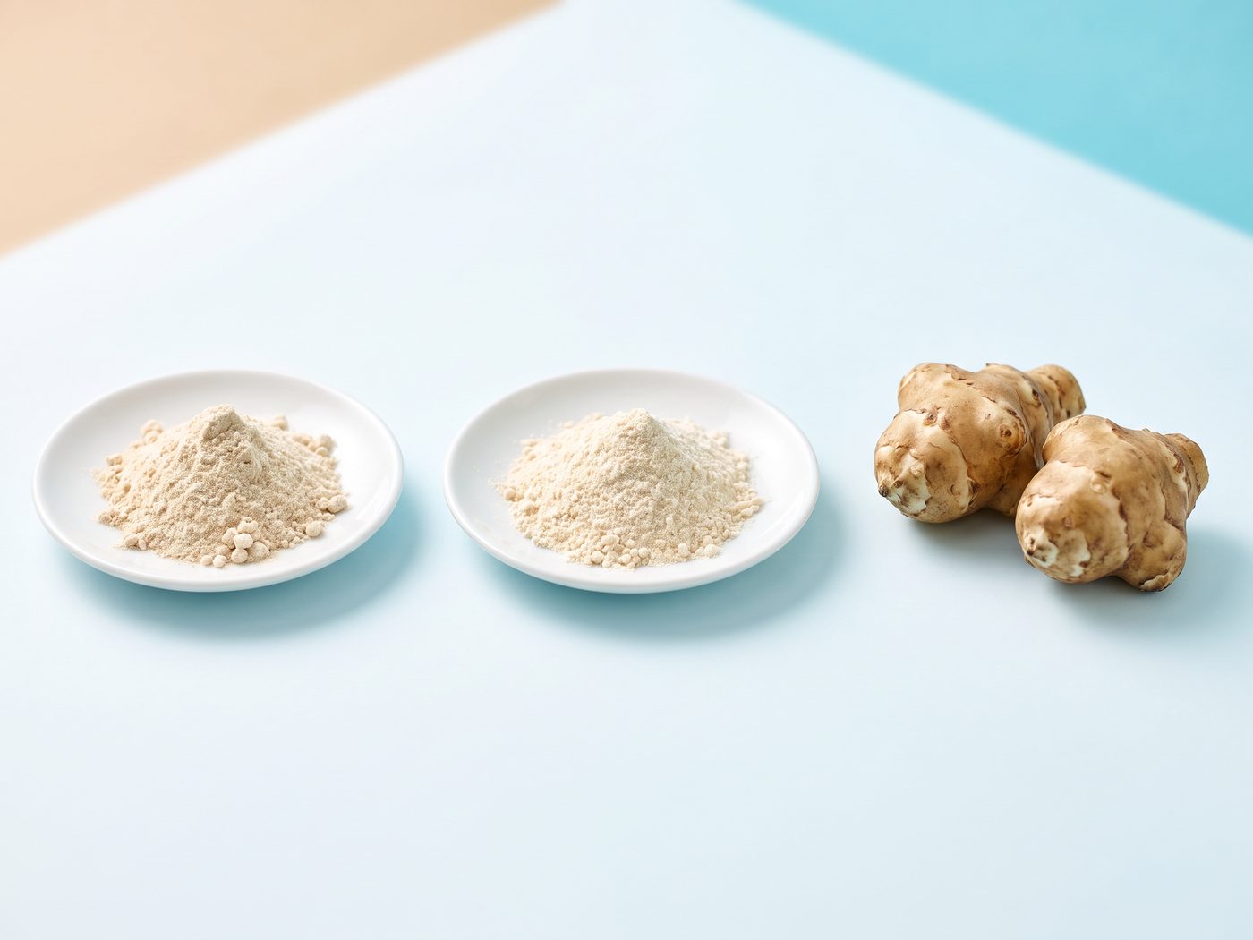 Organic inulin and acacia fiber prebiotics nourishing beneficial gut bacteria