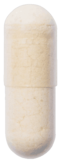 The Physician’s Choice 60 Billion Probiotic capsule