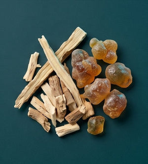Prebiotic Fiber