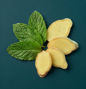Peppermint & Ginger Root